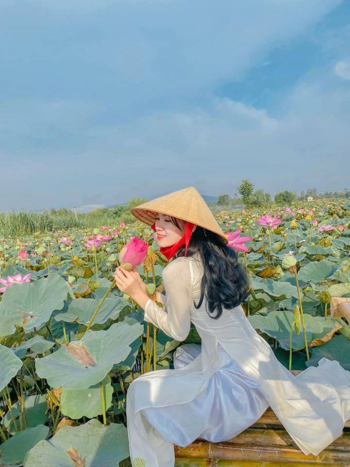 Khung cảnh thiên nhiên thanh bình của vùng đất Tây Sơn