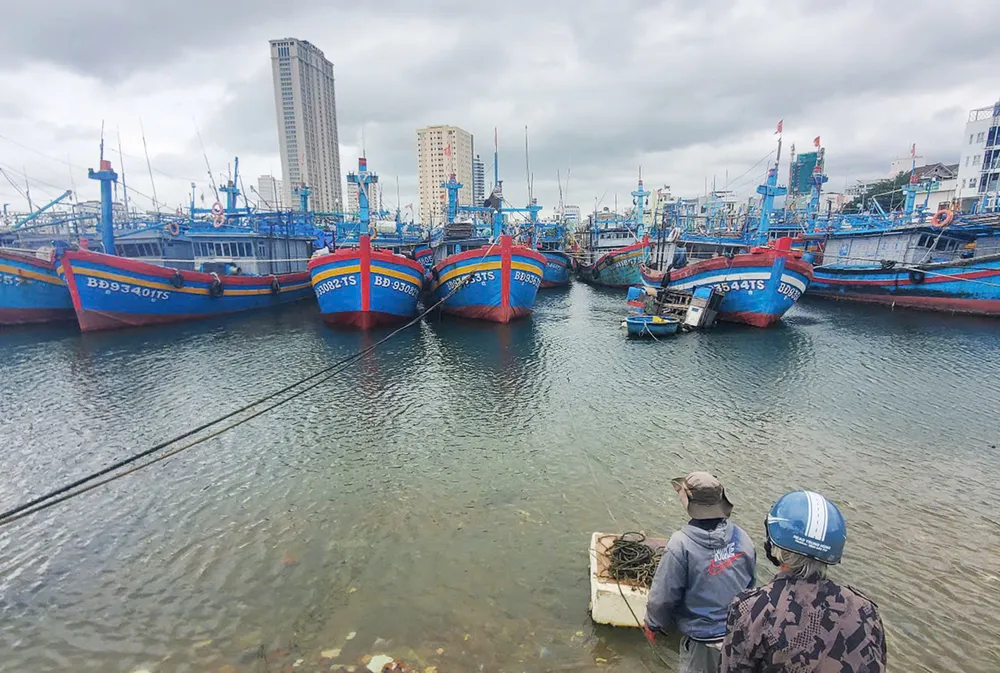 Toàn cảnh cảng cá Quy Nhơn