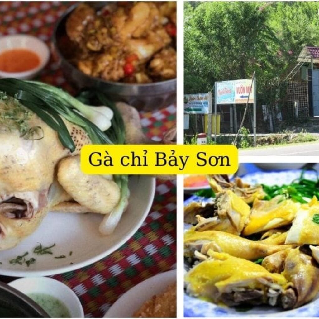 Gà chỉ Bảy Sơn: ấn tượng với hương vị đậm đà và không gian rộng